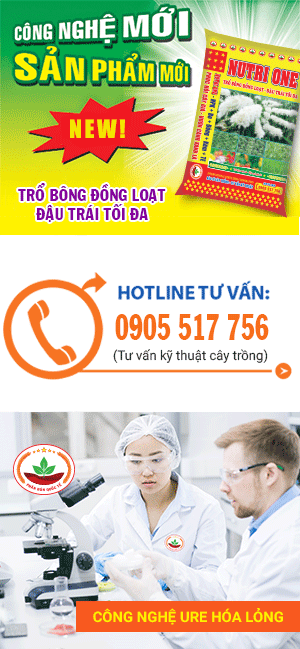 Banner tu van ky thuat